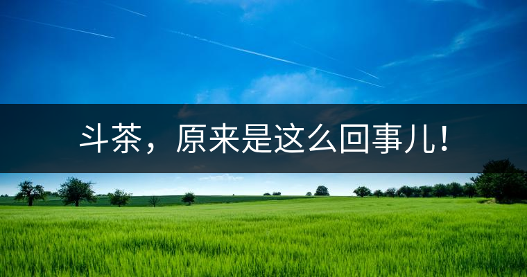 斗茶，原來是這么回事兒！