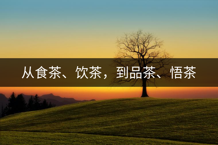 從食茶、飲茶，到品茶、悟茶