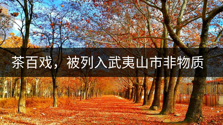 茶百戲，被列入武夷山市非物質(zhì)文化遺產(chǎn)的茶湯