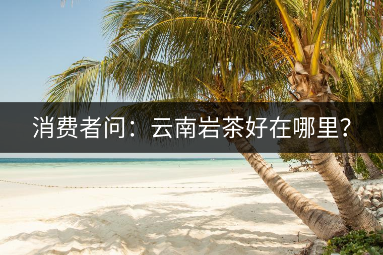 消費(fèi)者問(wèn)：云南巖茶好在哪里？