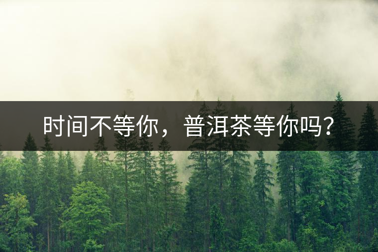 時間不等你，普洱茶等你嗎？