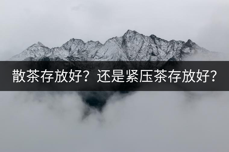 散茶存放好？還是緊壓茶存放好？