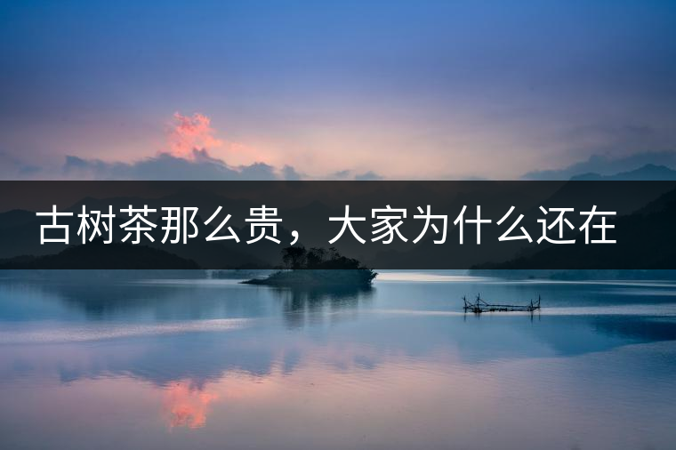 古樹茶那么貴，大家為什么還在瘋狂追求？