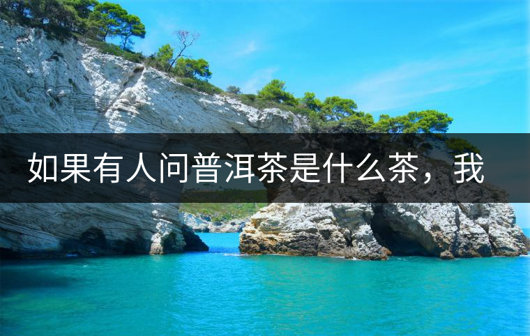 如果有人問普洱茶是什么茶，我就請他看這個段子