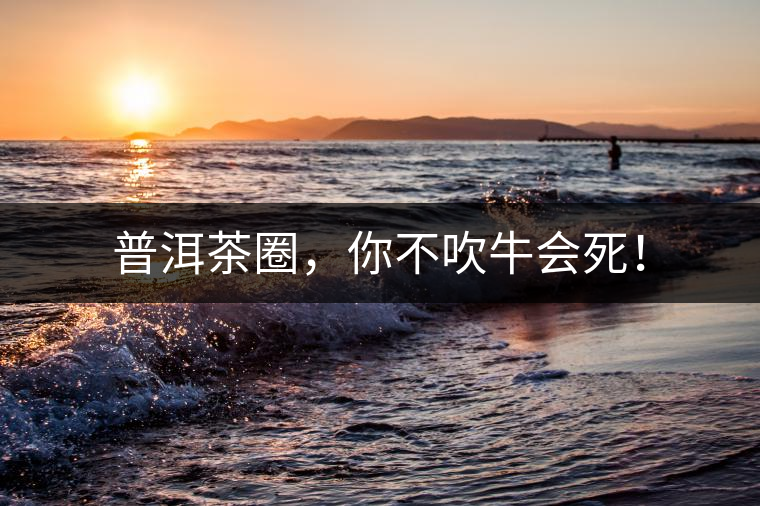 普洱茶圈，你不吹牛會(huì)死！