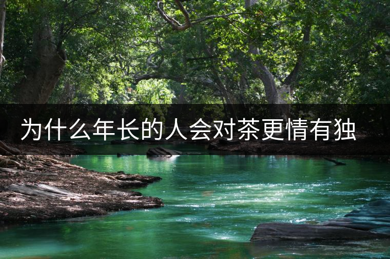 為什么年長的人會對茶更情有獨(dú)鐘？原因在這