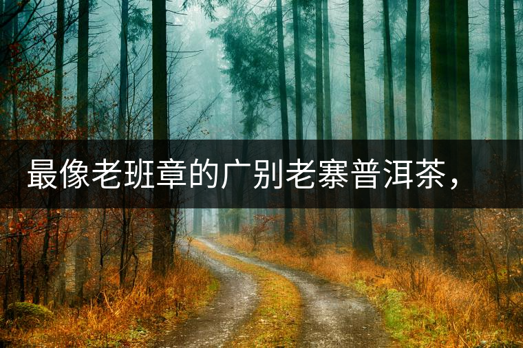 最像老班章的廣別老寨普洱茶，卻是冰島派來的臥底