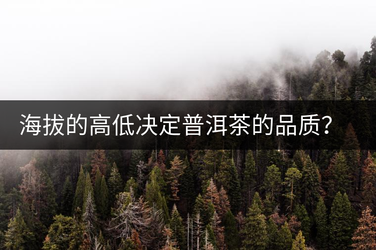 海拔的高低決定普洱茶的品質(zhì)？【附：名山頭茶海拔表】