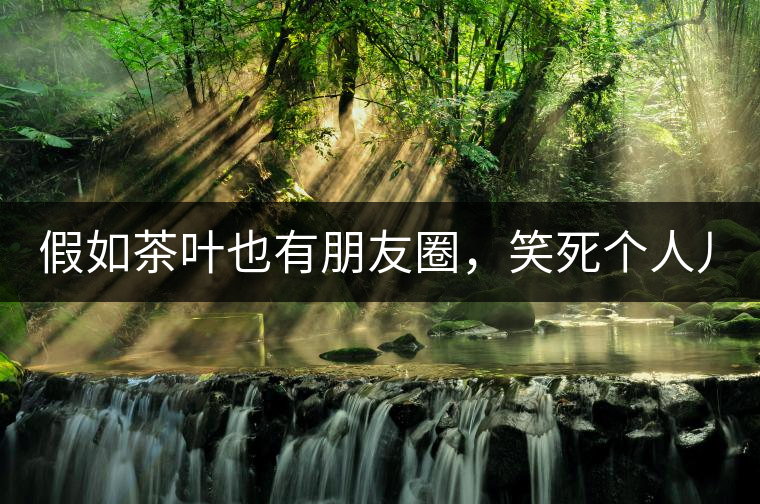 假如茶葉也有朋友圈，笑死個(gè)人兒...