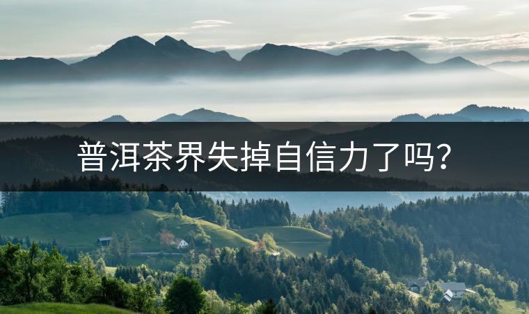 普洱茶界失掉自信力了嗎？