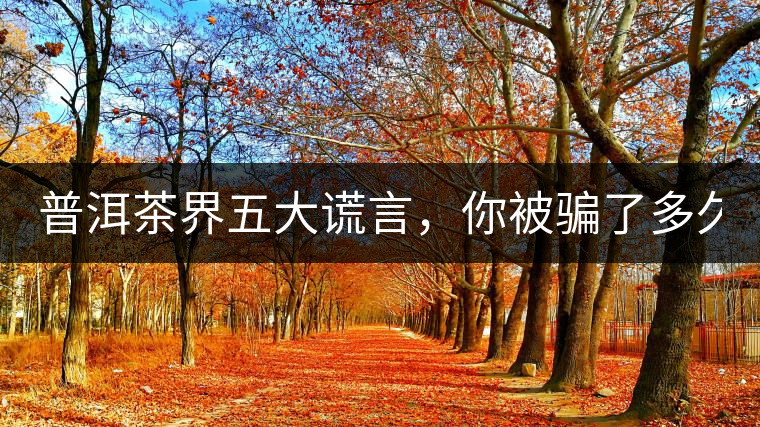 普洱茶界五大謊言，你被騙了多久？