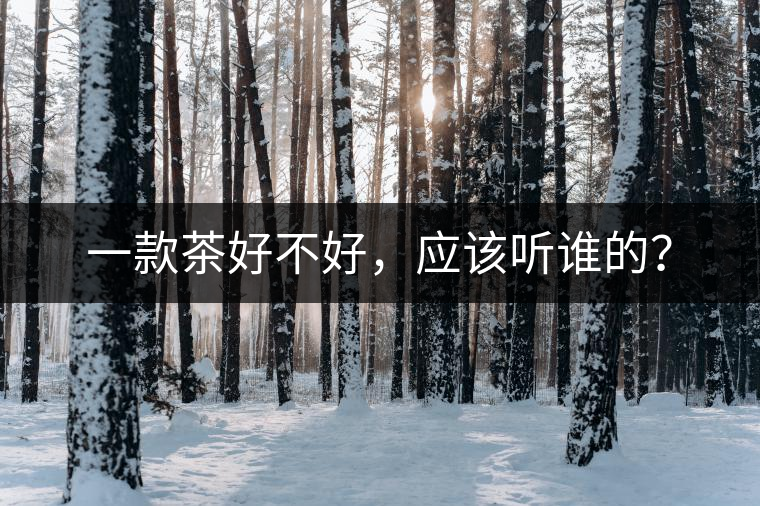 一款茶好不好，應該聽誰的？