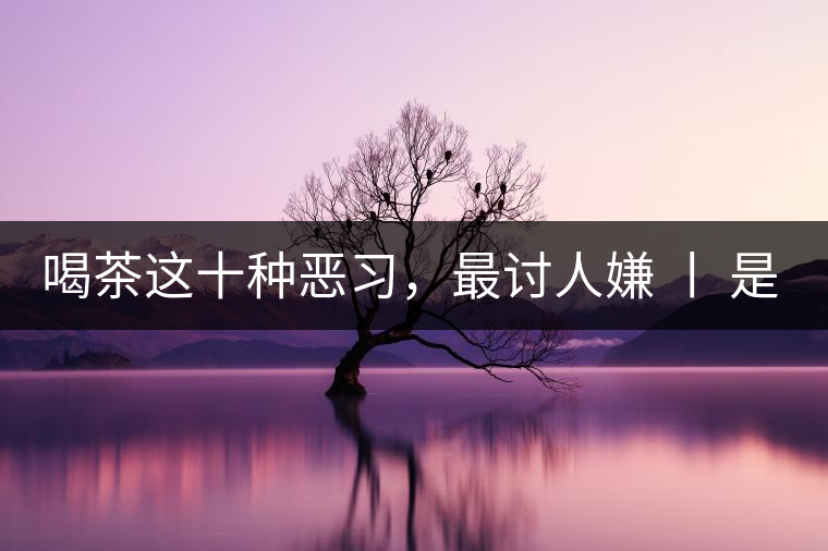 喝茶這十種惡習(xí)，最討人嫌 丨 是否同感？
