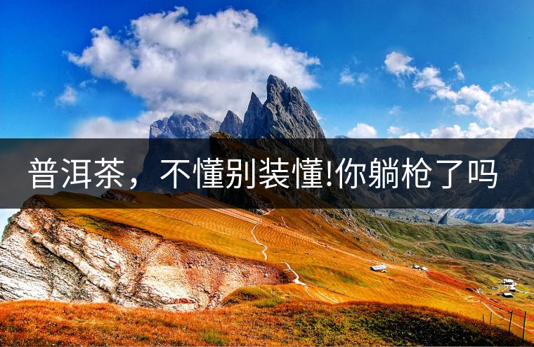 普洱茶，不懂別裝懂!你躺槍了嗎?