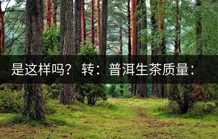 是這樣嗎？ 轉(zhuǎn)：普洱生茶質(zhì)量：大廠和小廠沒有區(qū)別