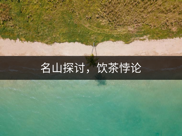 名山探討，飲茶悖論