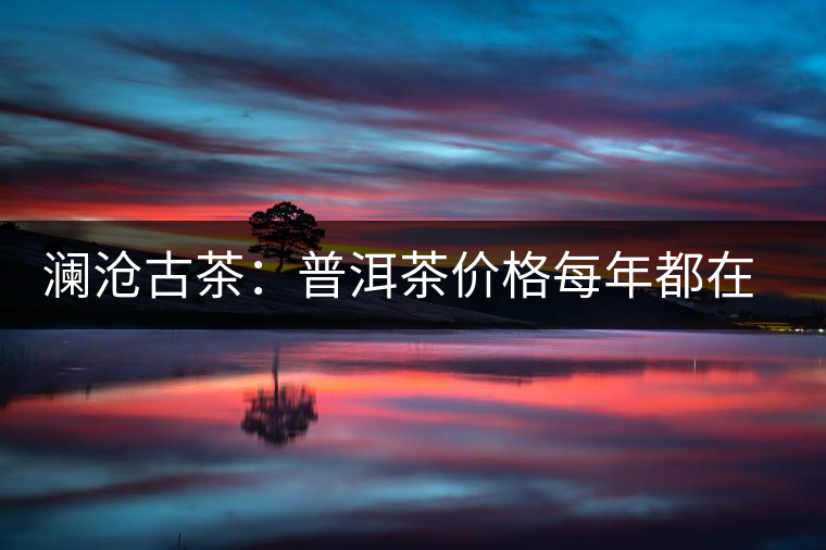 瀾滄古茶：普洱茶價格每年都在漲，購買者多看好其保值性