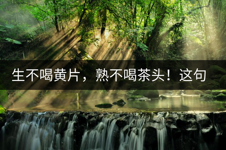 生不喝黃片，熟不喝茶頭！這句話你了解多少？