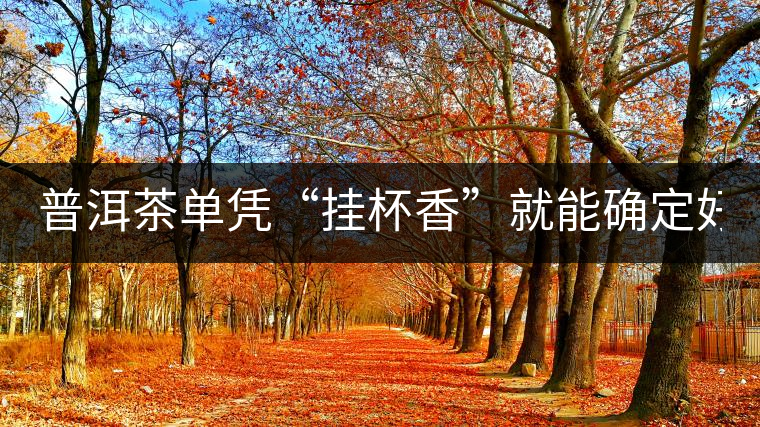 普洱茶單憑“掛杯香”就能確定好壞？you錯了！