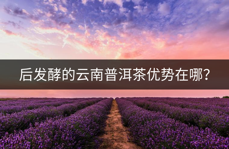 后發(fā)酵的云南普洱茶優(yōu)勢在哪？