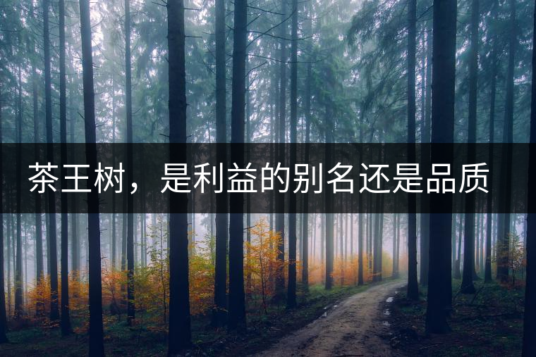 茶王樹，是利益的別名還是品質(zhì)的象征？