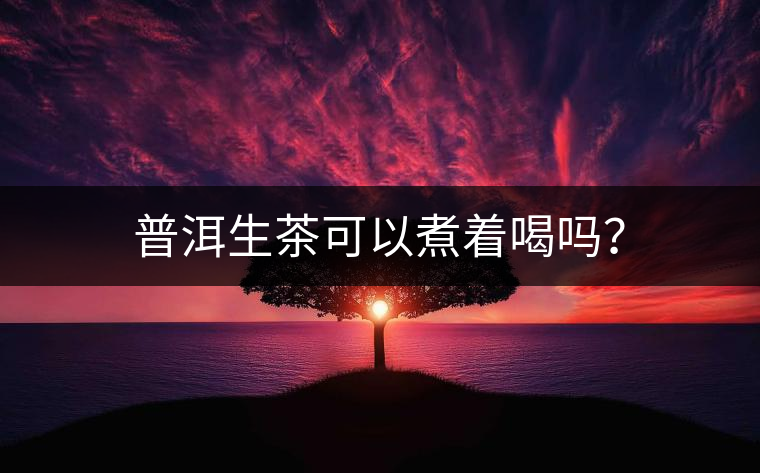 普洱生茶可以煮著喝嗎？