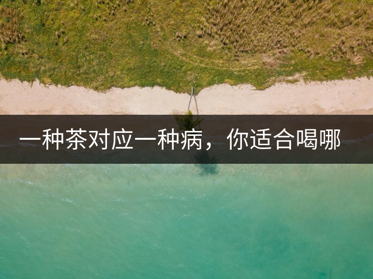 一種茶對(duì)應(yīng)一種病，你適合喝哪一種呢？