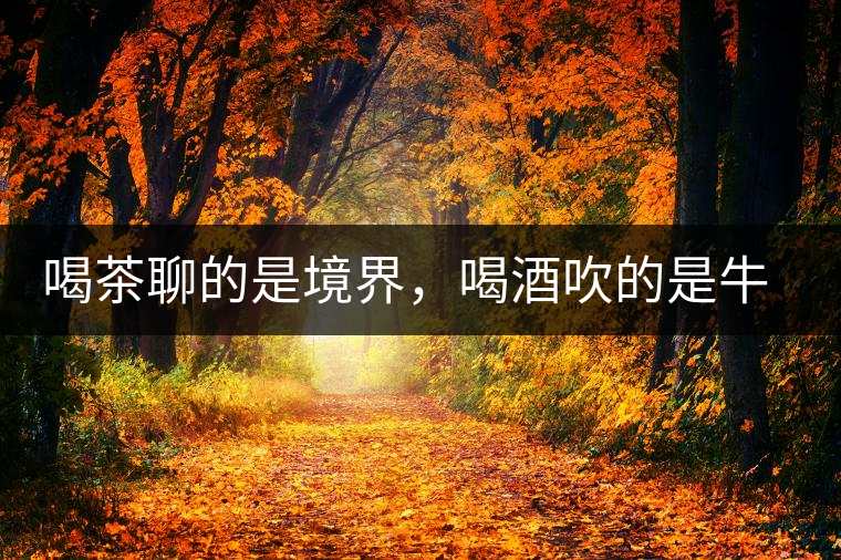 喝茶聊的是境界，喝酒吹的是牛皮