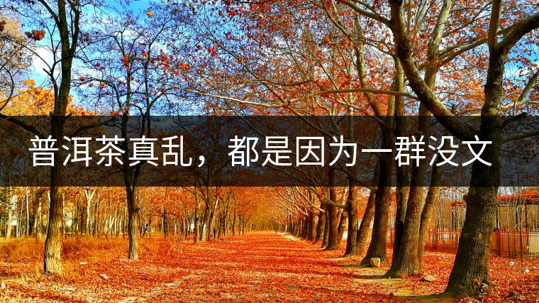 普洱茶真亂，都是因?yàn)橐蝗簺](méi)文化的人在瞎搞？真敢說(shuō)！