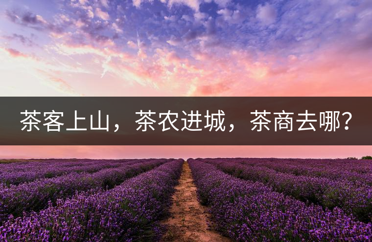 茶客上山，茶農(nóng)進(jìn)城，茶商去哪？