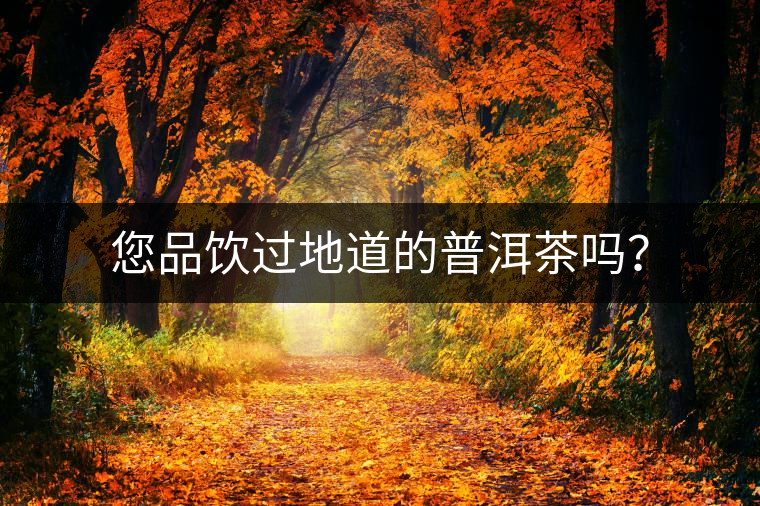 您品飲過(guò)地道的普洱茶嗎？