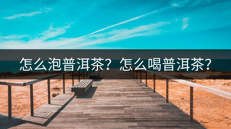 怎么泡普洱茶？怎么喝普洱茶？