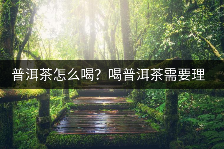 普洱茶怎么喝？喝普洱茶需要理由嗎？