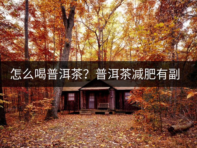 怎么喝普洱茶？普洱茶減肥有副作用嗎？