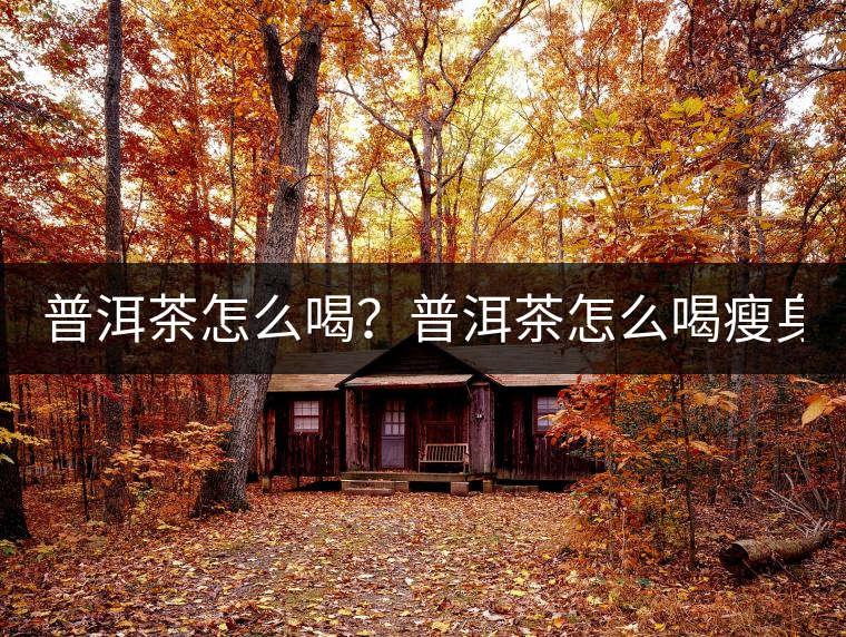 普洱茶怎么喝？普洱茶怎么喝瘦身？