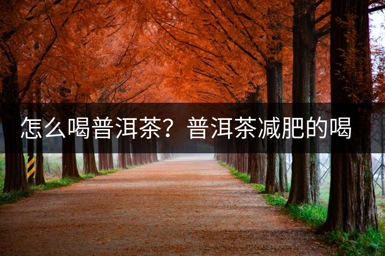 怎么喝普洱茶？普洱茶減肥的喝法