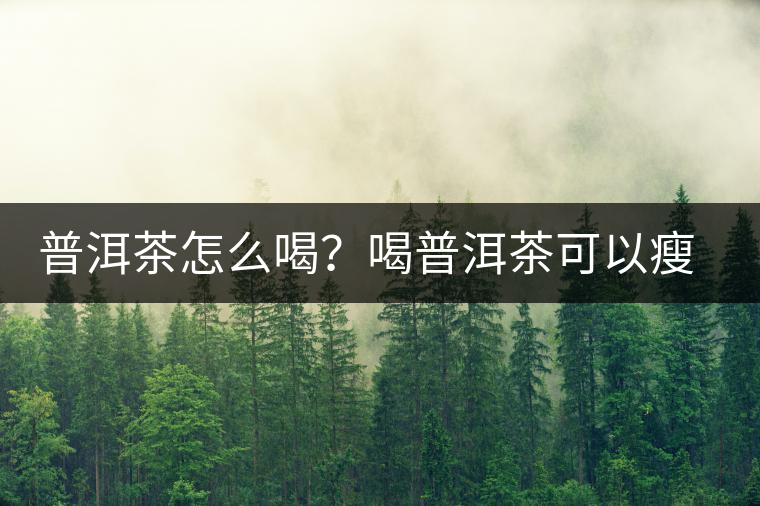 普洱茶怎么喝？喝普洱茶可以瘦腹嗎？