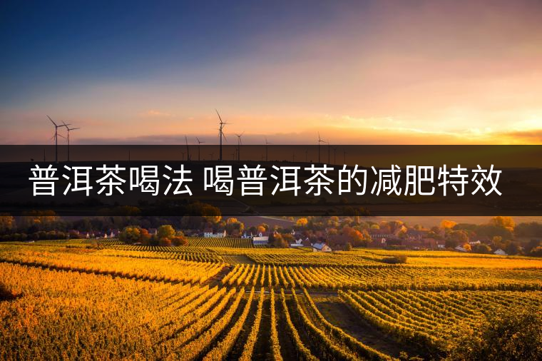 普洱茶喝法 喝普洱茶的減肥特效是什么呢？