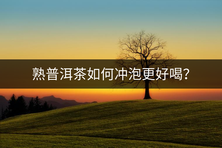 熟普洱茶如何沖泡更好喝？