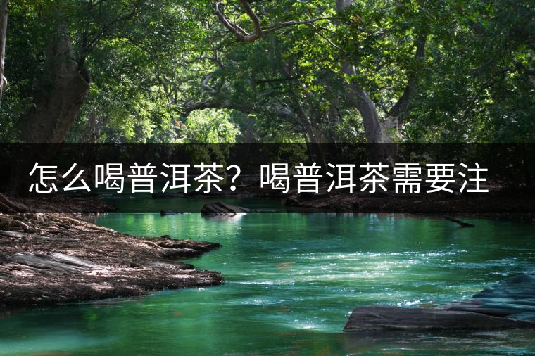 怎么喝普洱茶？喝普洱茶需要注意的要點(diǎn)