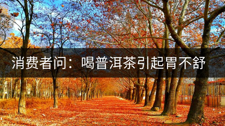 消費(fèi)者問：喝普洱茶引起胃不舒服怎么辦？
