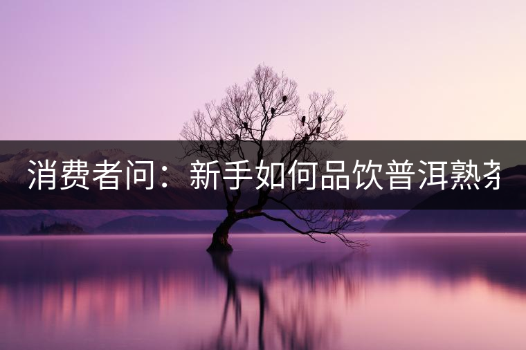 消費者問：新手如何品飲普洱熟茶？