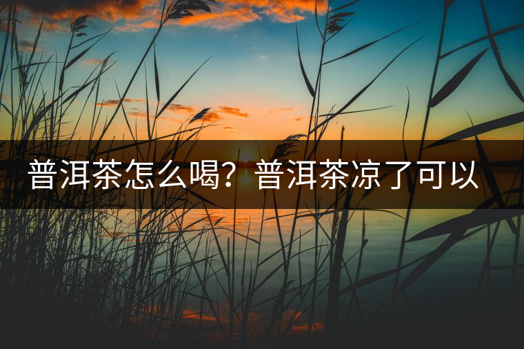 普洱茶怎么喝？普洱茶涼了可以喝嗎？