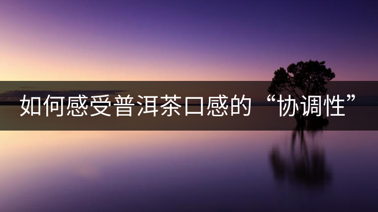 如何感受普洱茶口感的“協(xié)調(diào)性”？