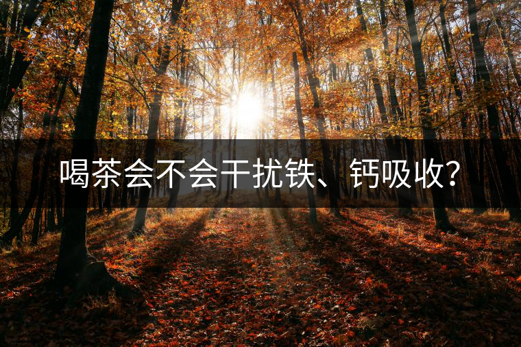 喝茶會(huì)不會(huì)干擾鐵、鈣吸收？