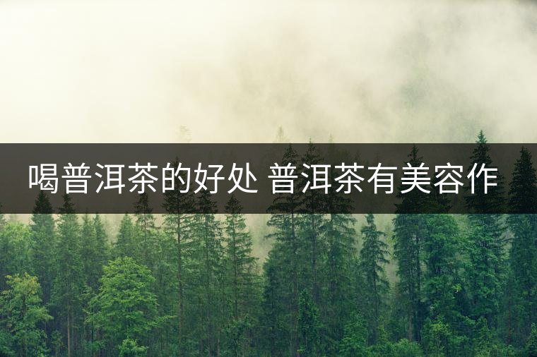 喝普洱茶的好處 普洱茶有美容作用 喝普洱茶的好處 普洱茶有美容作用