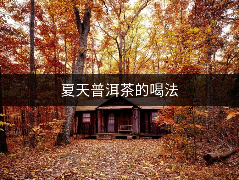 夏天普洱茶的喝法