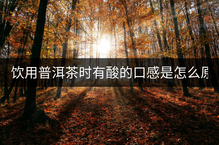 飲用普洱茶時有酸的口感是怎么原因？