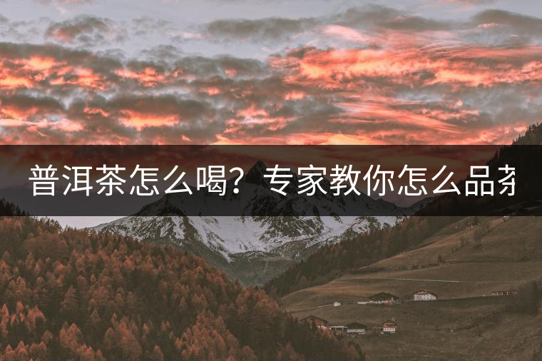 普洱茶怎么喝？專家教你怎么品茶？