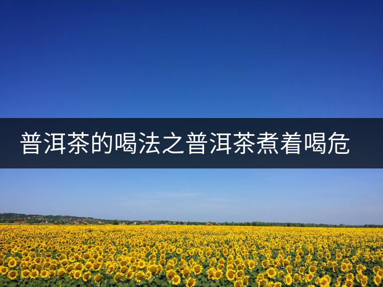 普洱茶的喝法之普洱茶煮著喝危害大